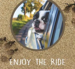 Template tile of a Boston terrier leaning out a car window, captioned “Enjoy the ride”